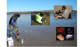 Sandy shore monitoring © Orkney Islands Council