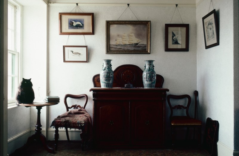 ‘Captain Jock’s’ drawing-room with Paddy the cat, at 9 Alfred Street. The wildlife paintings are by J. G. Millais.  © Estate of Keith Allardyce