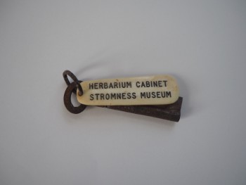 an old key is lying on a white surface. There is slight rust and corrosion to the key.  A white label is attached to the key on a key ring and reads 'Herbarium Cabinet Stromness Museum' in black text