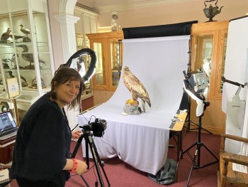 Rebecca Marr photographing one of our eagles