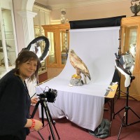 Rebecca Marr photographing one of our eagles