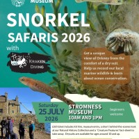 Snorkel Safari 2026 with Kraken Diving